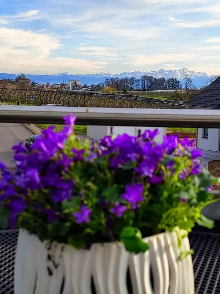 2 Zimmer Wohnung mit 60 m² in Friedrichshafen – Bild 4