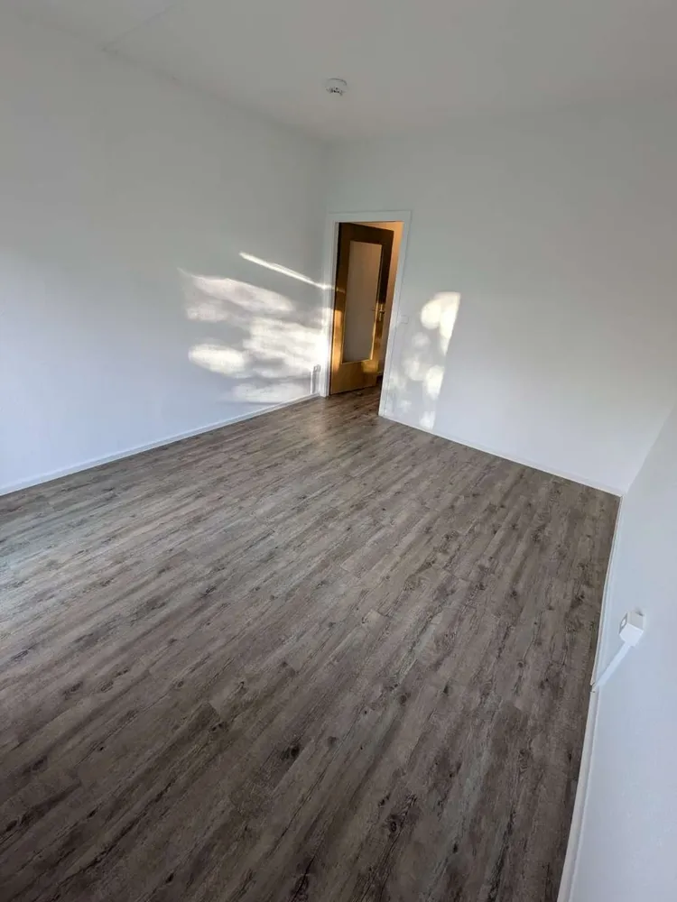 1 Zimmer Wohnung mit 26 m² in Dresden – Bild 3
