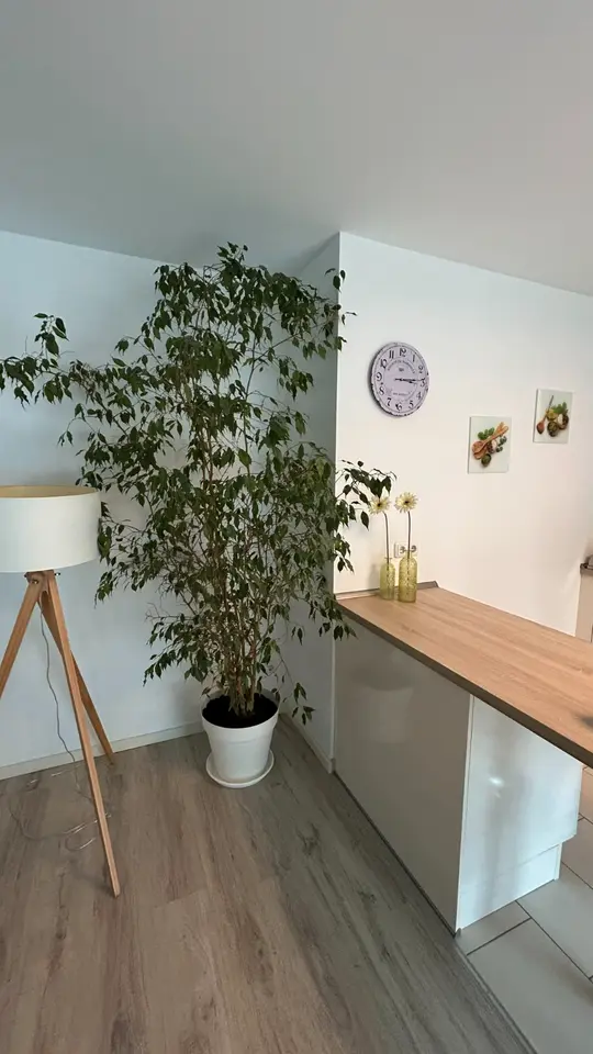 WG-Zimmer mit 100 m² in Euskirchen – Bild 5