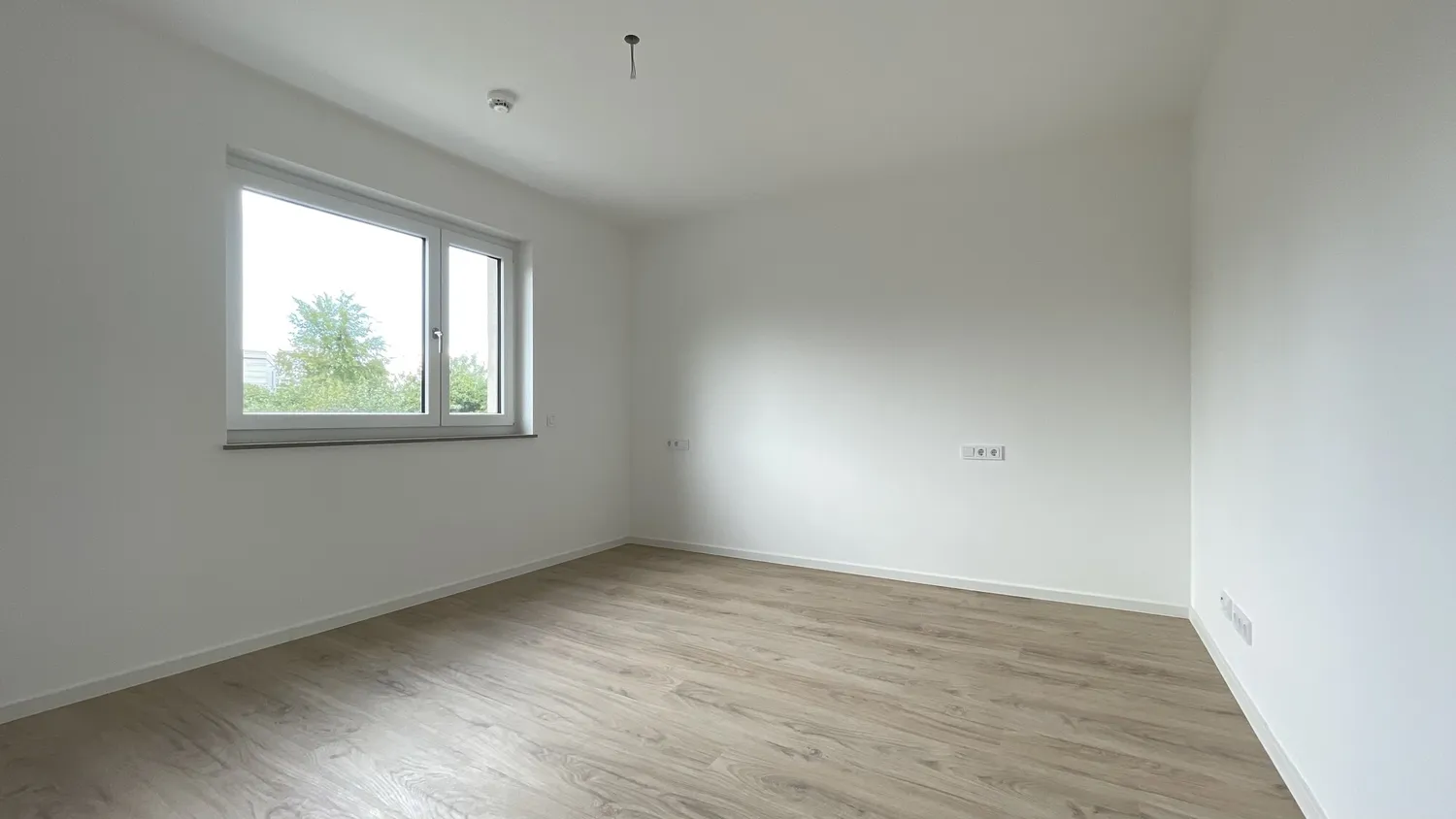 2 Zimmer Wohnung mit 72 m² in Dresden – Bild 3