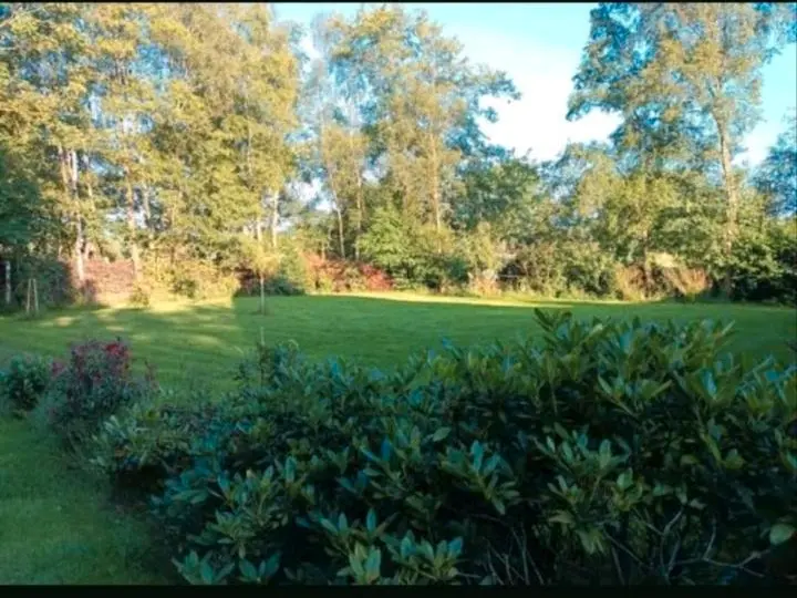7 Zimmer Haus mit 250 m² in Papenburg – Bild 3
