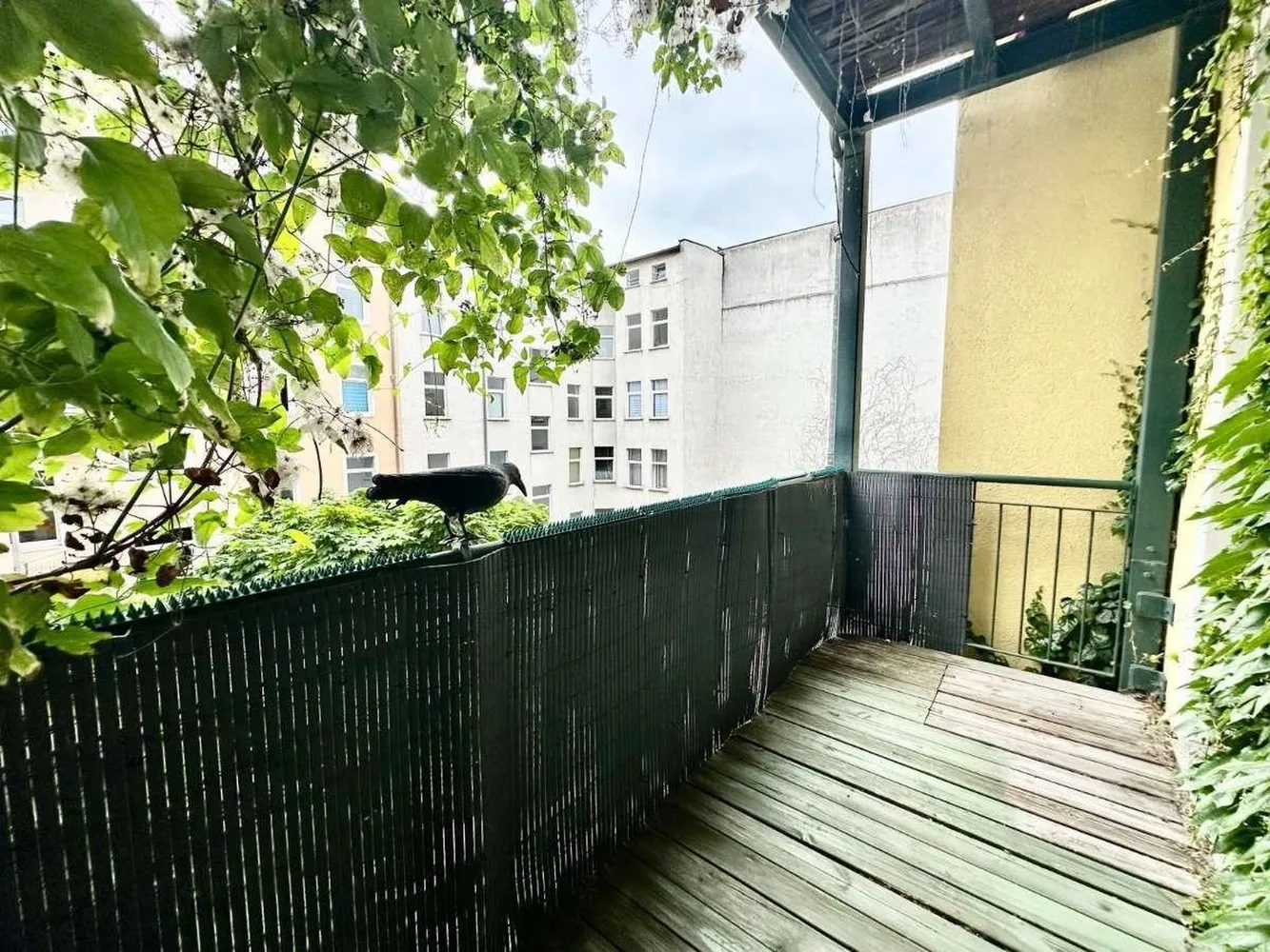 2 room apartment with 50 m² in Magdeburg – Photo 11