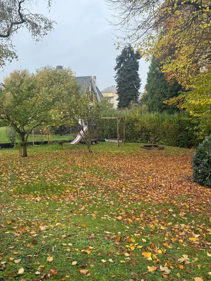 WG-Zimmer mit 420 m² in Gießen – Bild 7