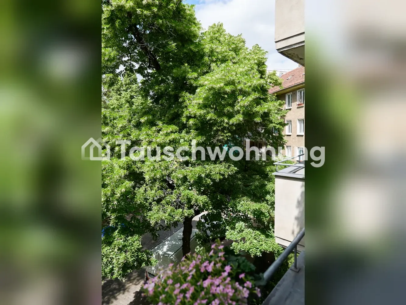 2 room apartment with 50 m² in Berlin – Photo 6