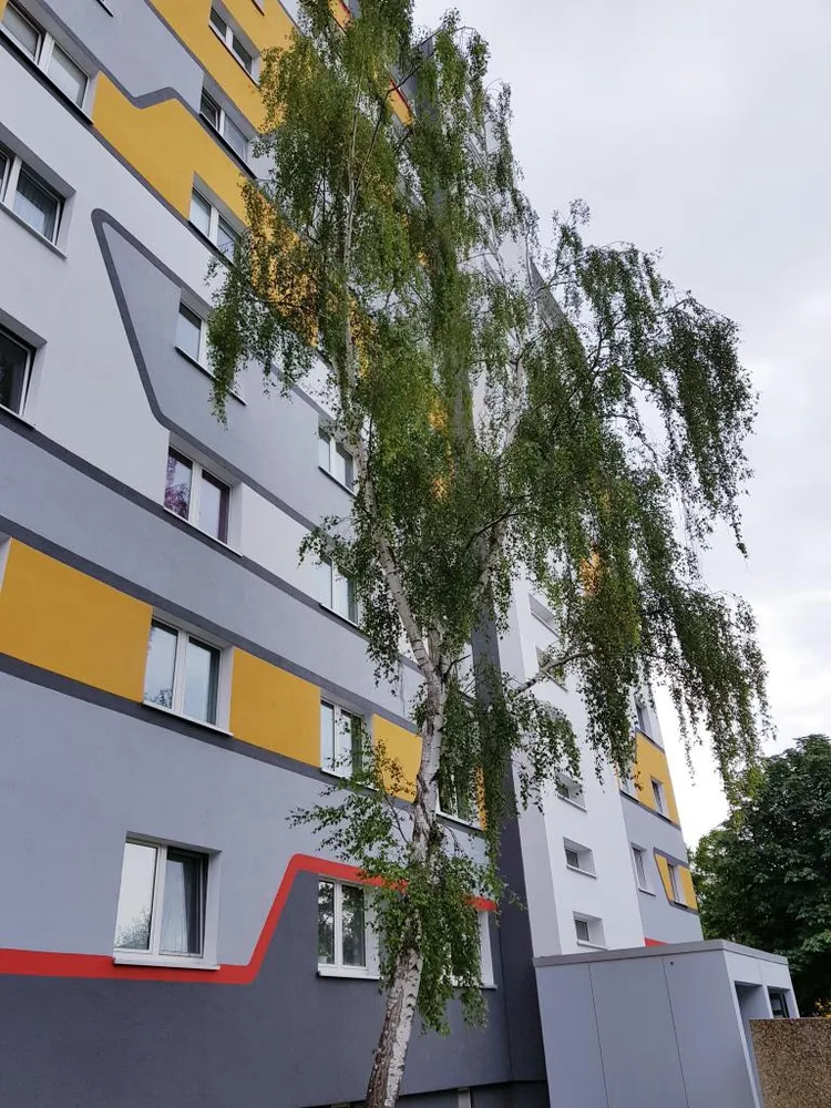 3 Zimmer Wohnung mit 83 m² in Magdeburg – Bild 4