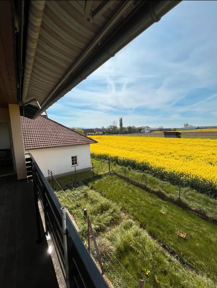 4 Zimmer Wohnung mit 80 m² in Lahr/Schwarzwald – Bild 8