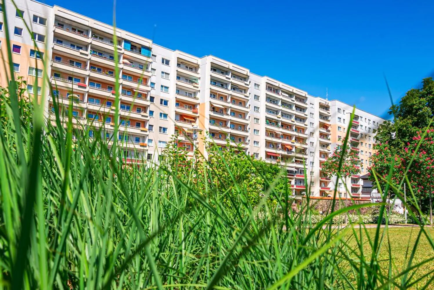 2 Zimmer Wohnung mit 55 m² in Zwickau – Bild 8
