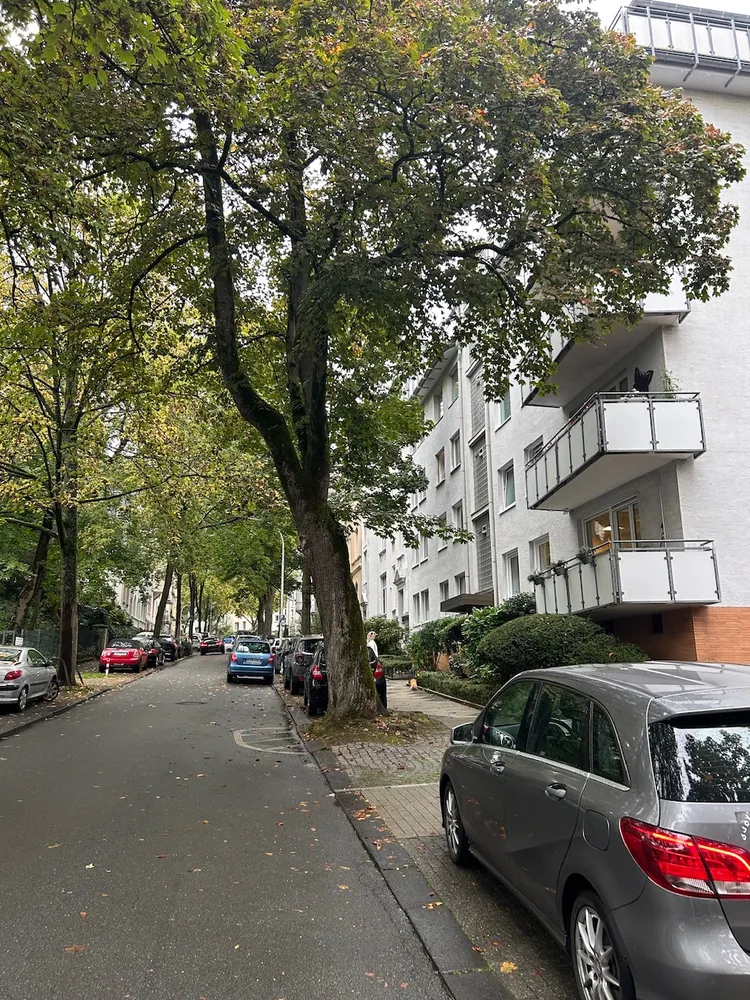 3 Zimmer Wohnung mit 85 m² in Wuppertal – Bild 1
