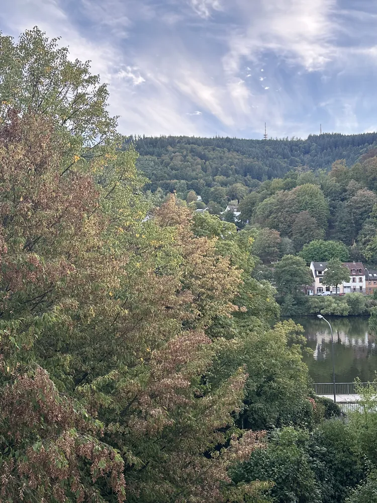 2 room apartment with 49 m² in Heidelberg – Photo 1