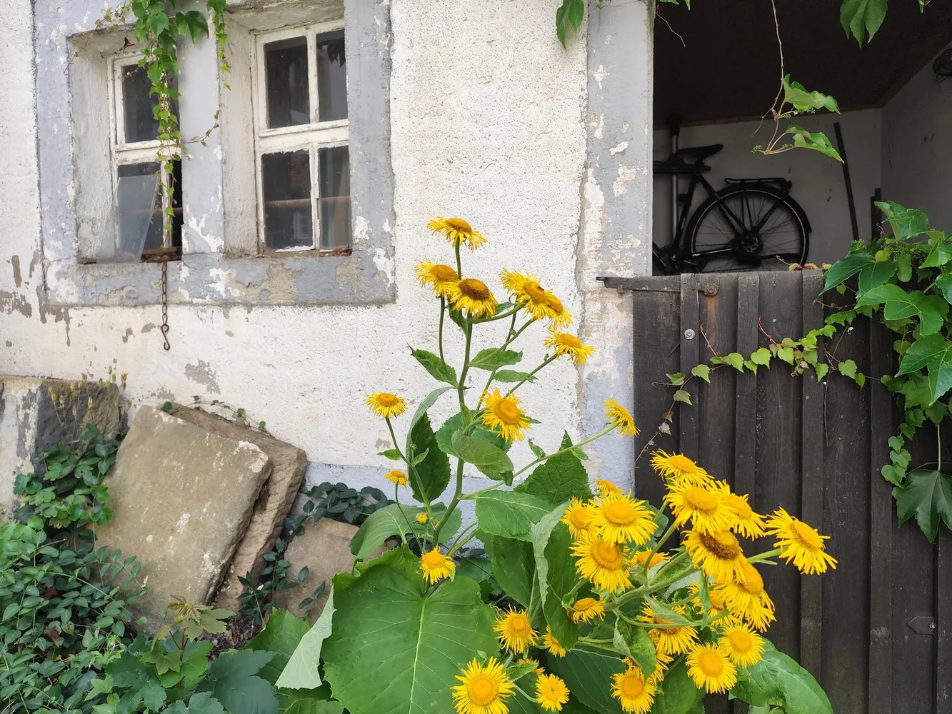 3 Zimmer Wohnung mit 90 m² in Dresden – Bild 5