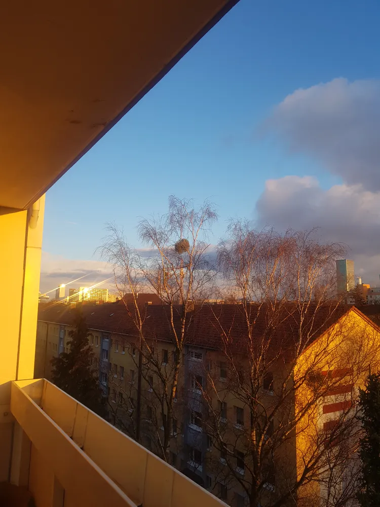 3 Zimmer Wohnung mit 72 m² in München – Bild 4