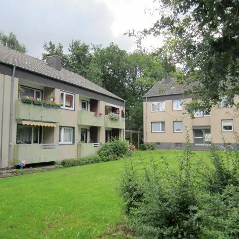 2 Zimmer Wohnung mit 30 m² in Recklinghausen – Bild 2