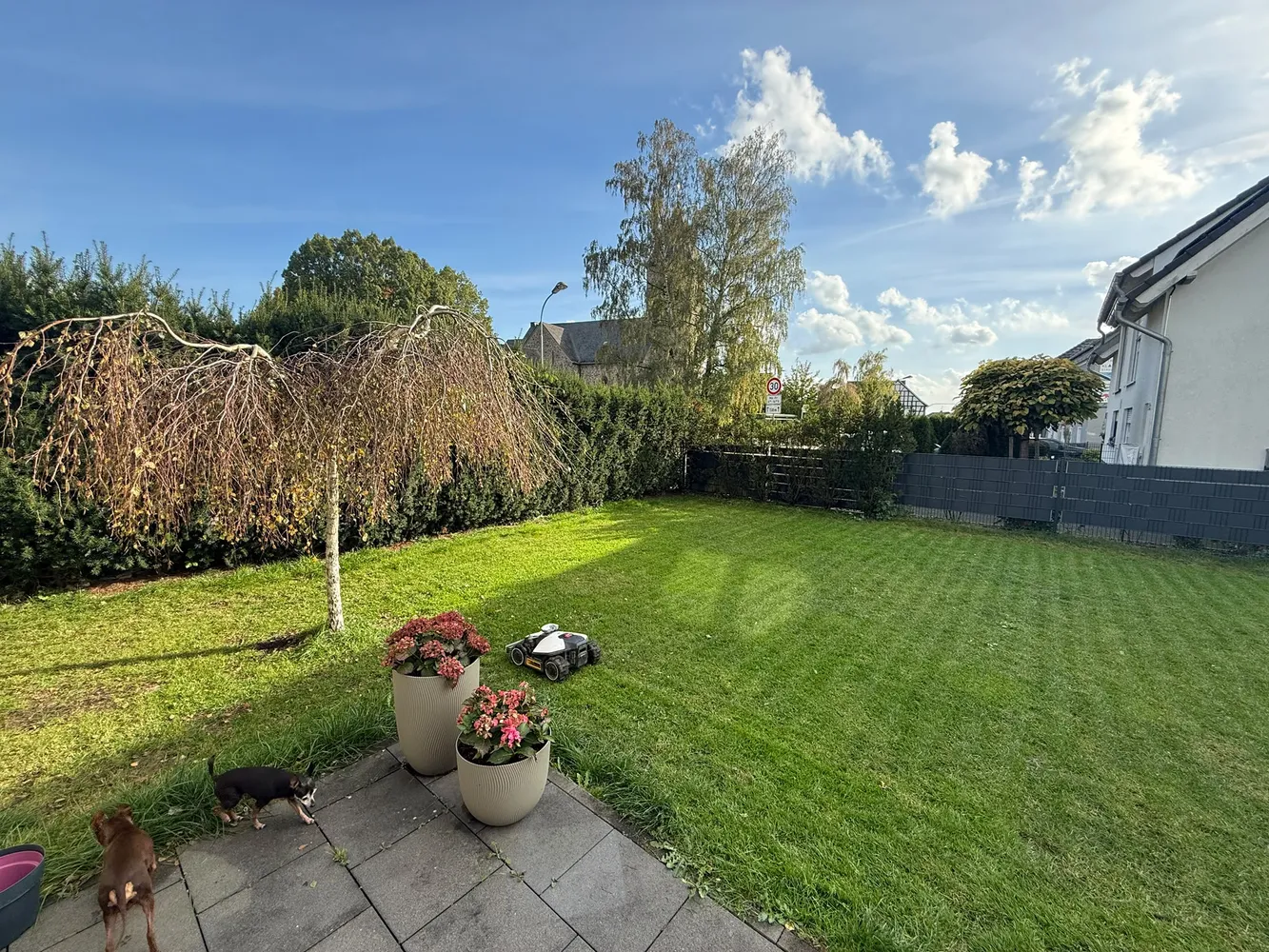5 Zimmer Haus mit 156 m² in Lohmar – Bild 1