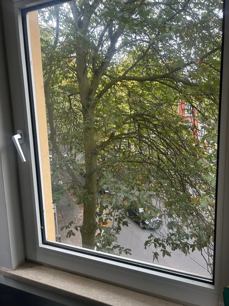 1 Zimmer Wohnung mit 40 m² in Bonn – Bild 4