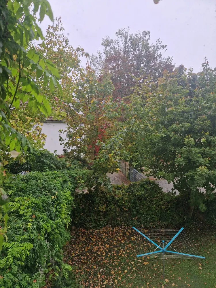 2 room apartment with 56 m² in Magdeburg – Photo 4