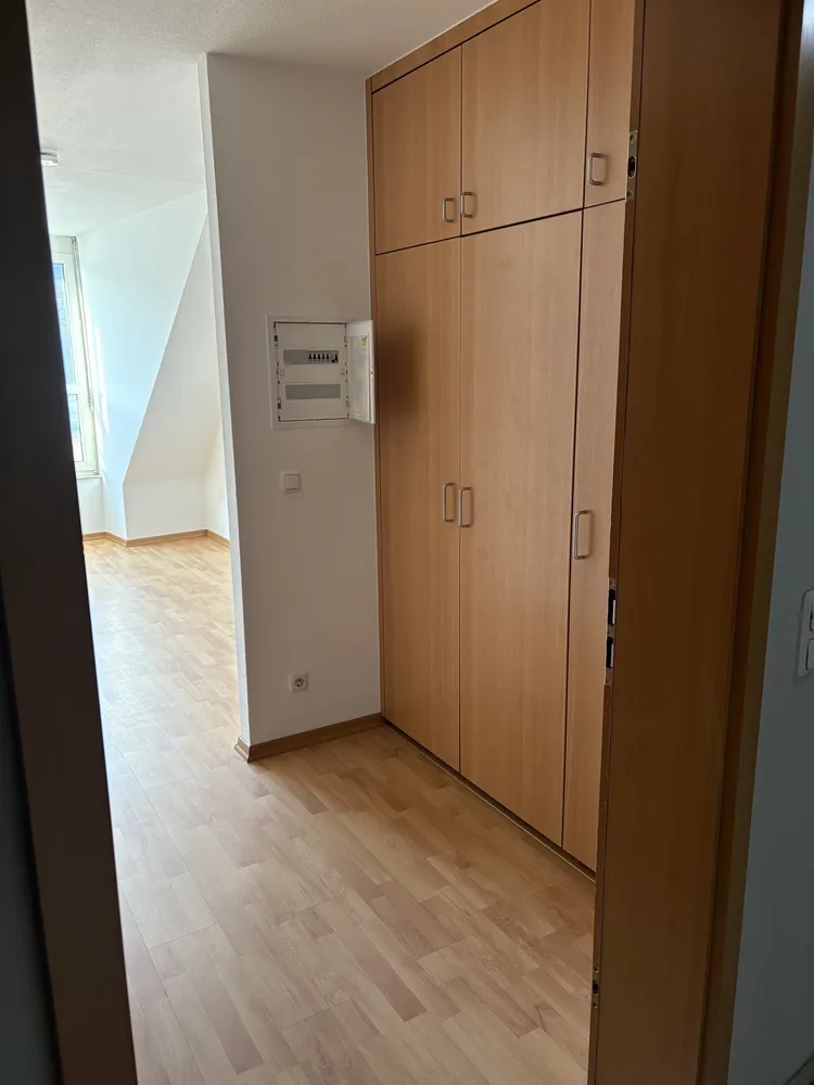 1 room apartment with 22 m² in Dresden – Photo 3
