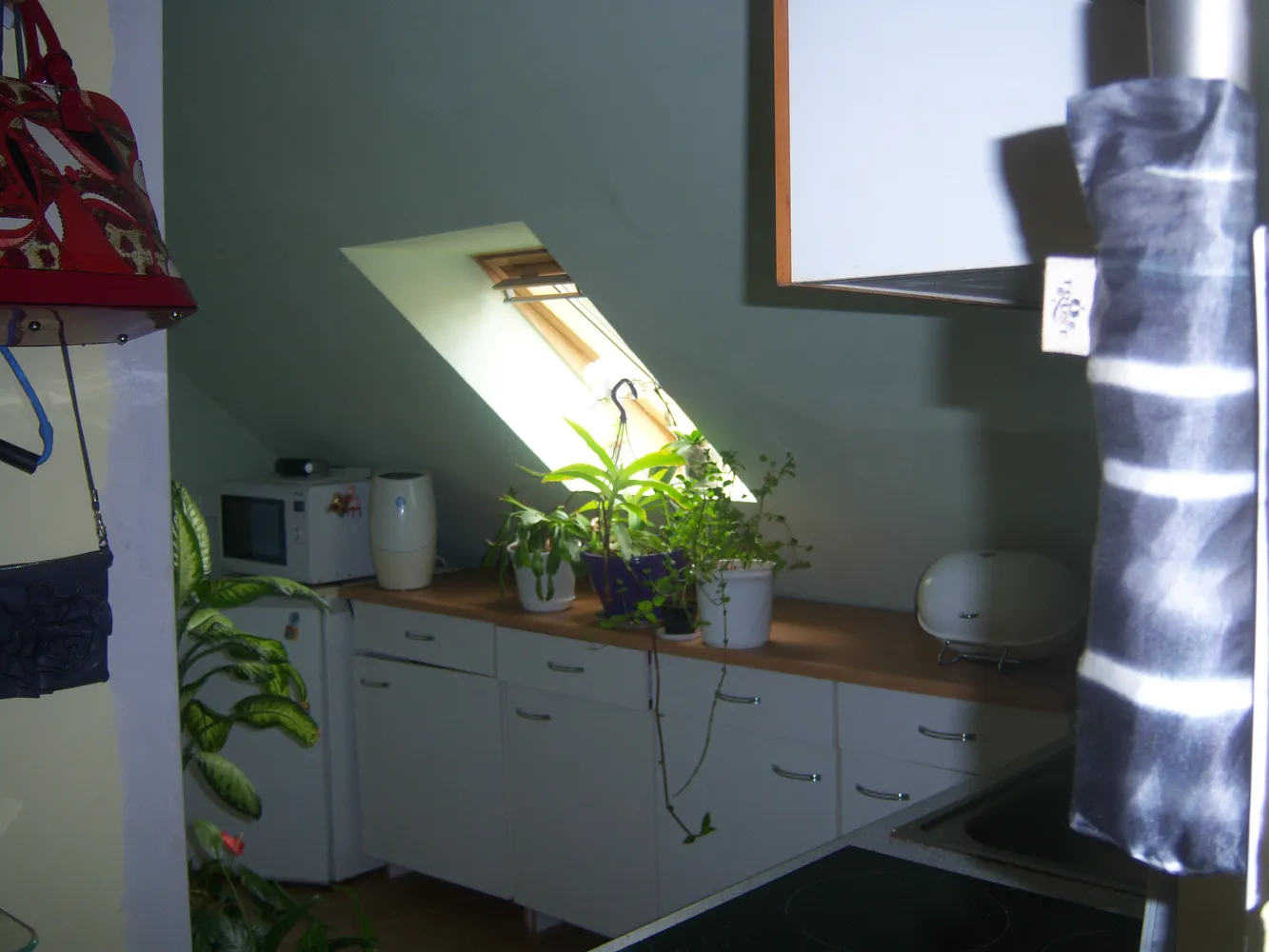 2 Zimmer Wohnung mit 45 m² in Berlin – Bild 3