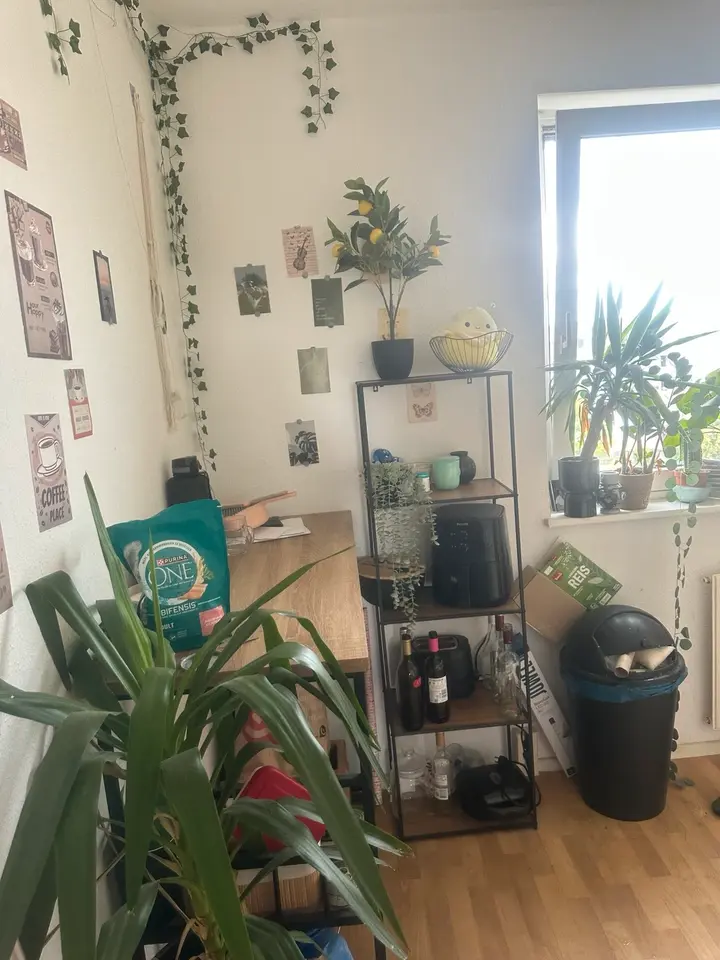 2 Zimmer Wohnung mit 45 m² in Delitzsch – Bild 8