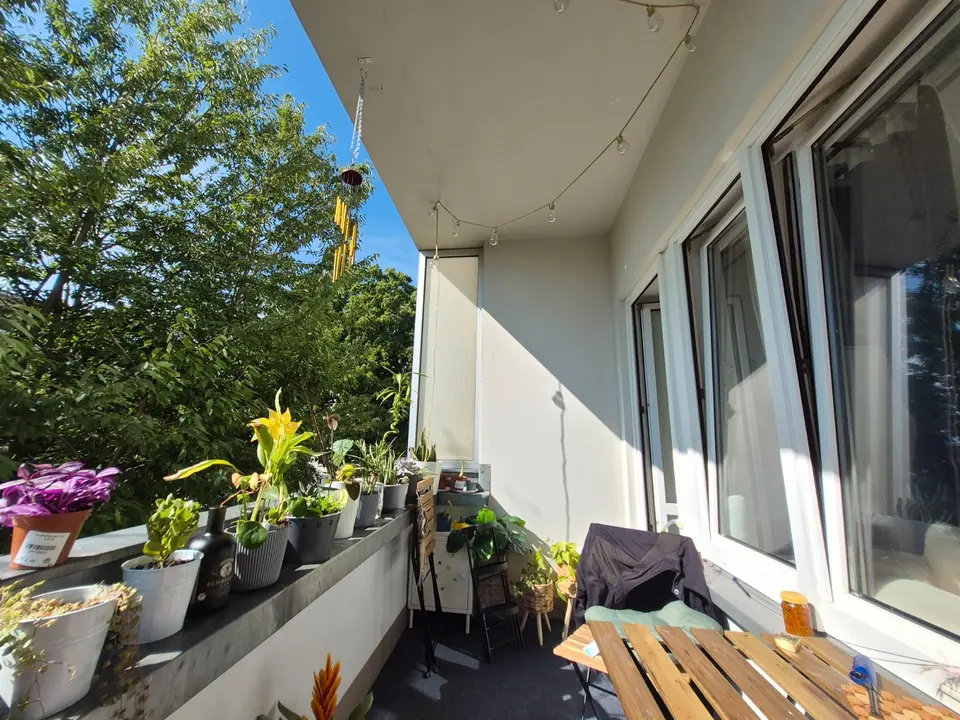 3 Zimmer Wohnung mit 59 m² in Dresden – Bild 2