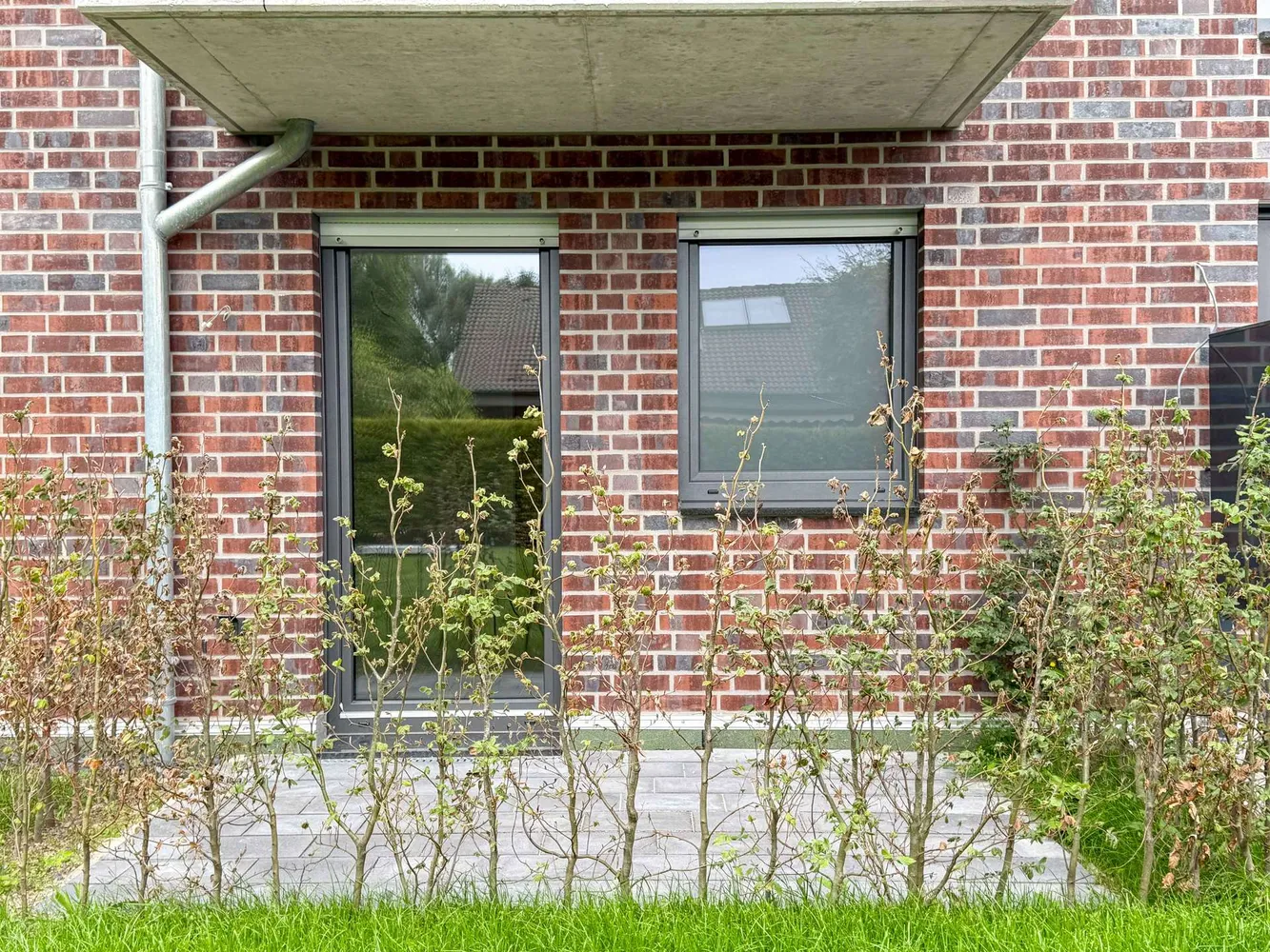 2 room apartment with 46 m² in Münster – Photo 2
