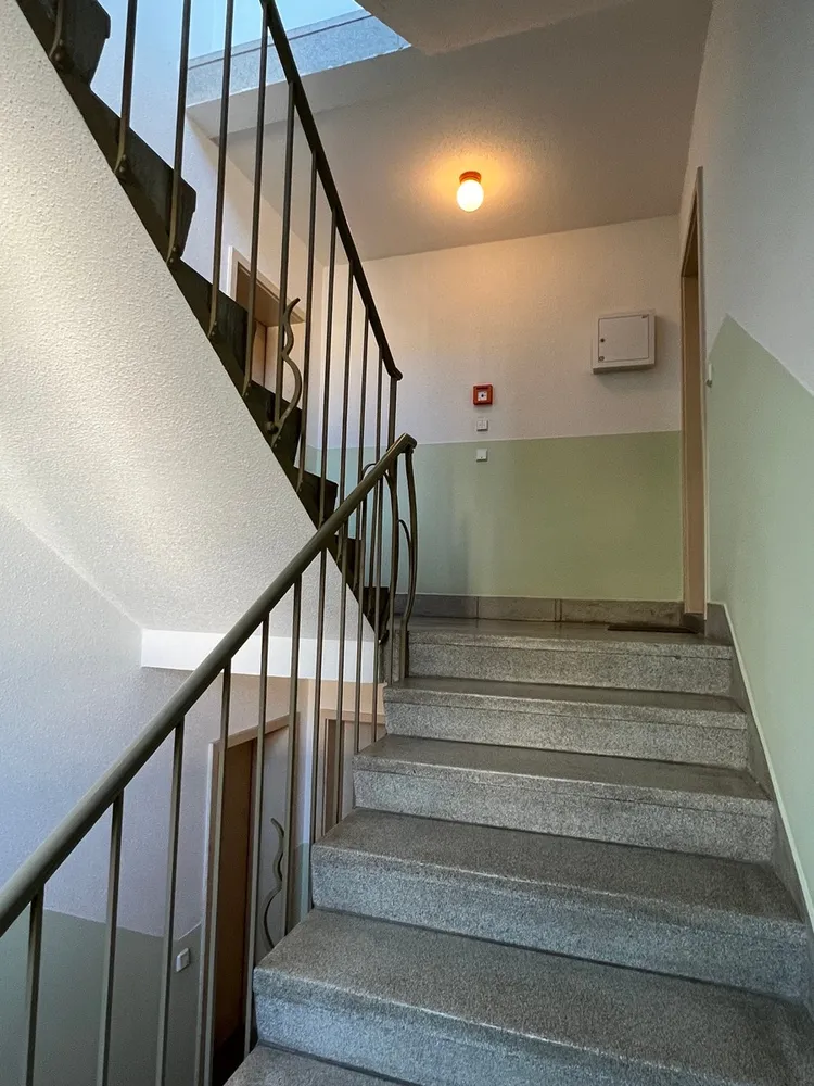 3 room apartment with 60 m² in Chemnitz – Photo 5