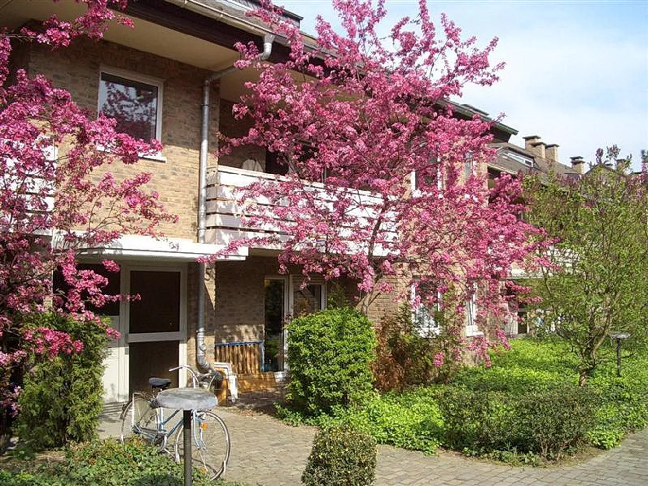 2 room apartment with 48 m² in Bonn – Photo 1