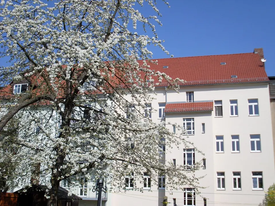 3 Zimmer Wohnung mit 75 m² in Görlitz – Bild 10