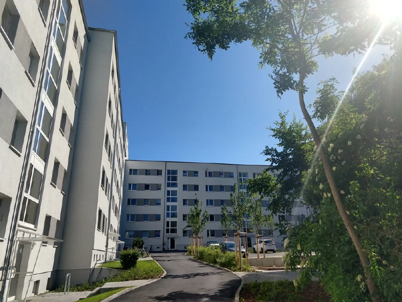 2 Zimmer Wohnung mit 53 m² in Dresden – Bild 9