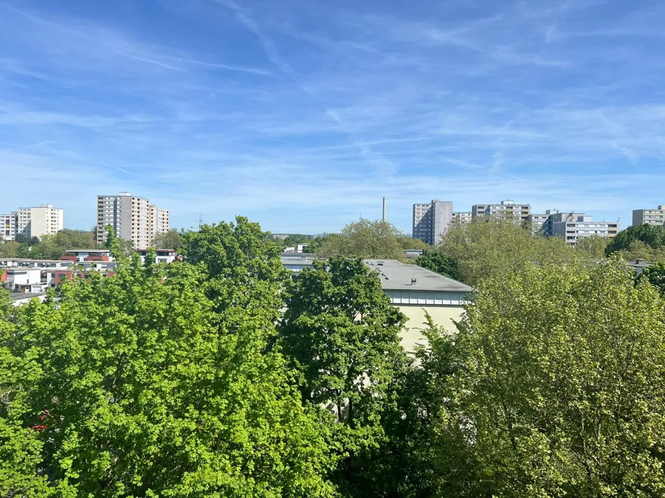 3 Zimmer Wohnung mit 64 m² in Ludwigshafen am Rhein – Bild 6