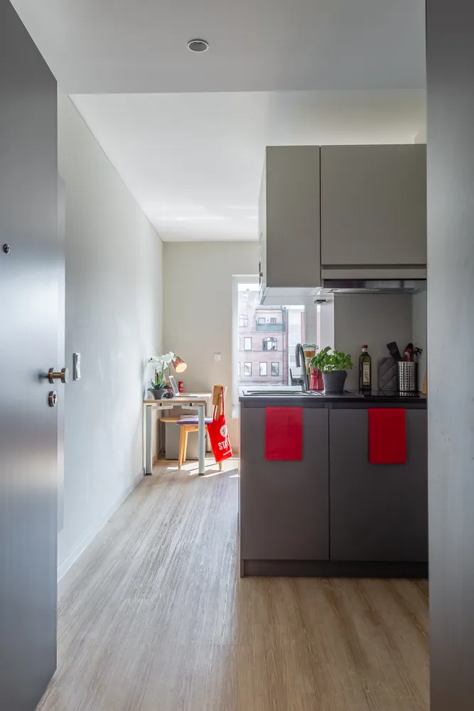 1 Zimmer Wohnung mit 20 m² in Nürnberg – Bild 3