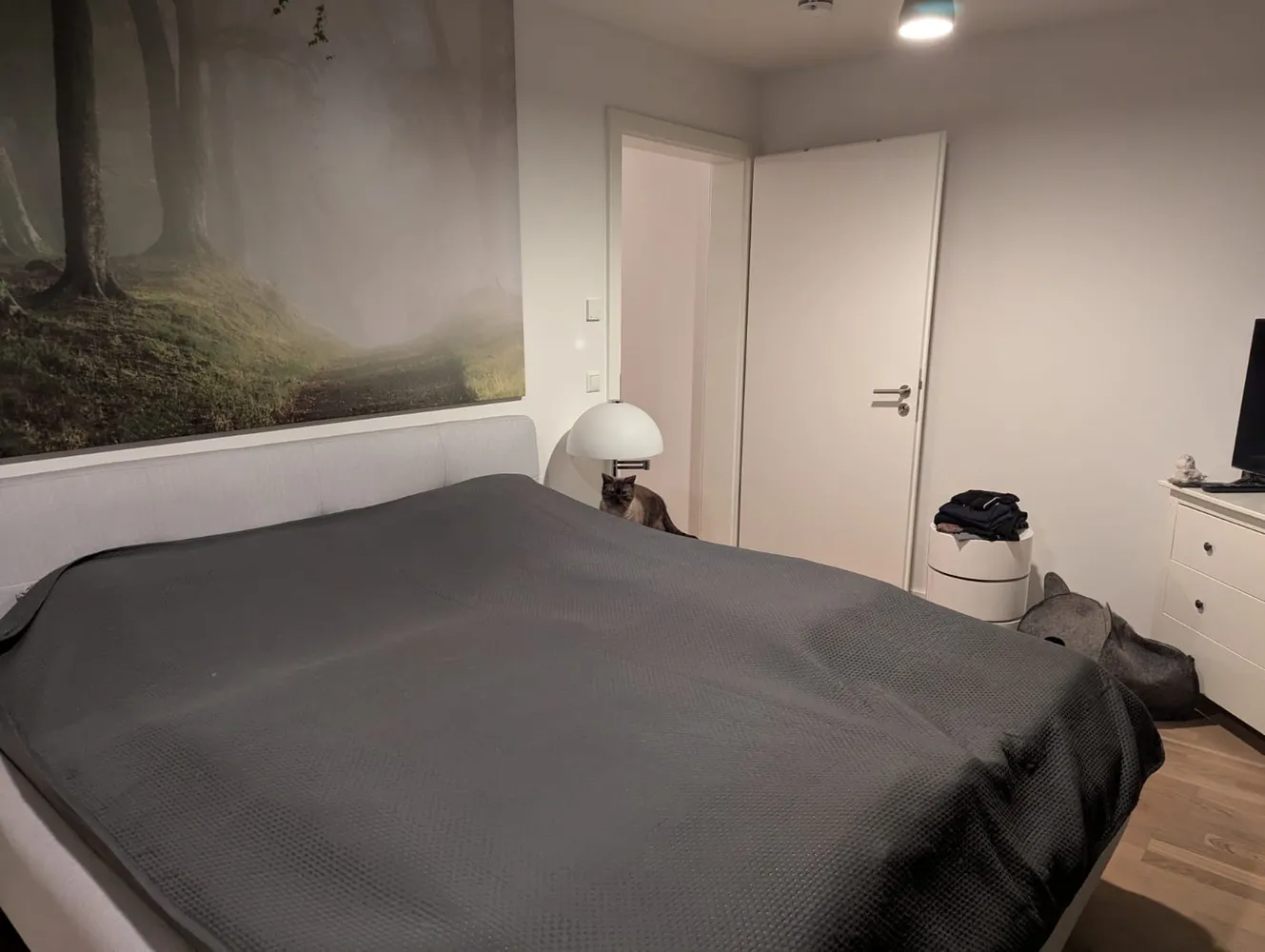 3 Zimmer Wohnung mit 81 m² in Rostock – Bild 10