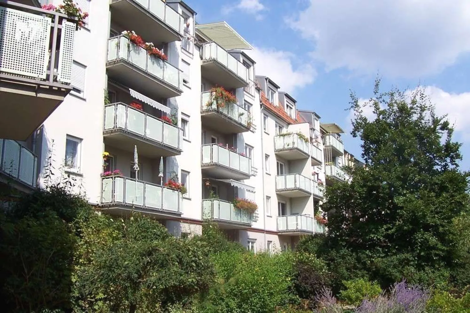 2 room apartment with 48 m² in Dresden – Photo 1