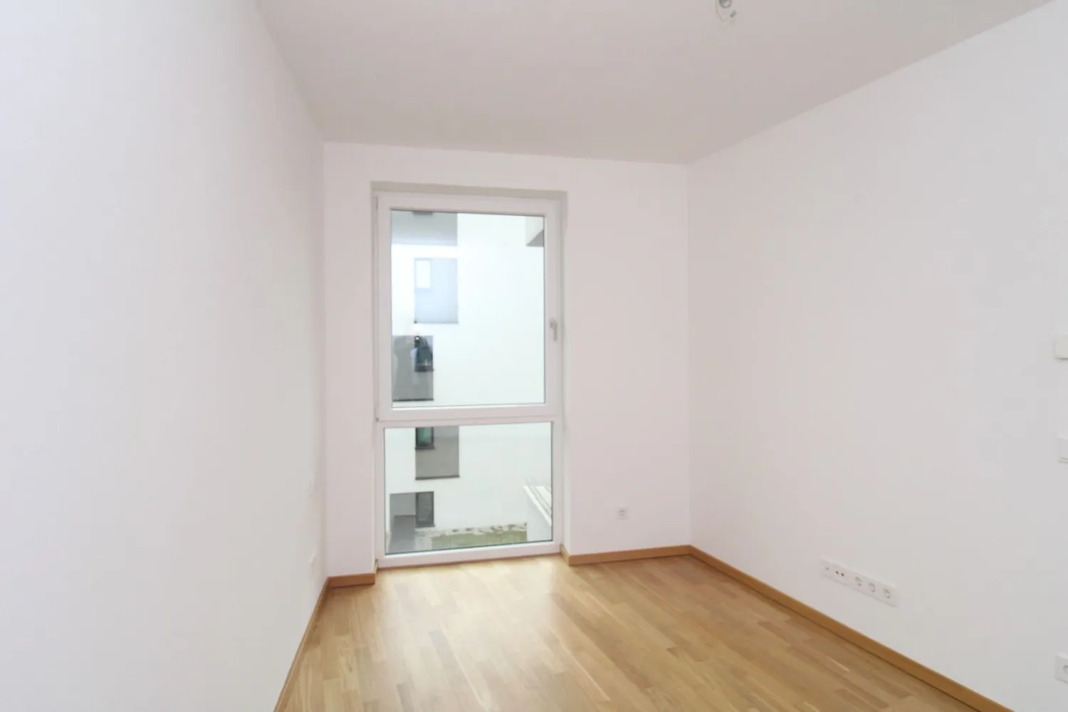 2 room apartment with 49 m² in Dresden – Photo 5