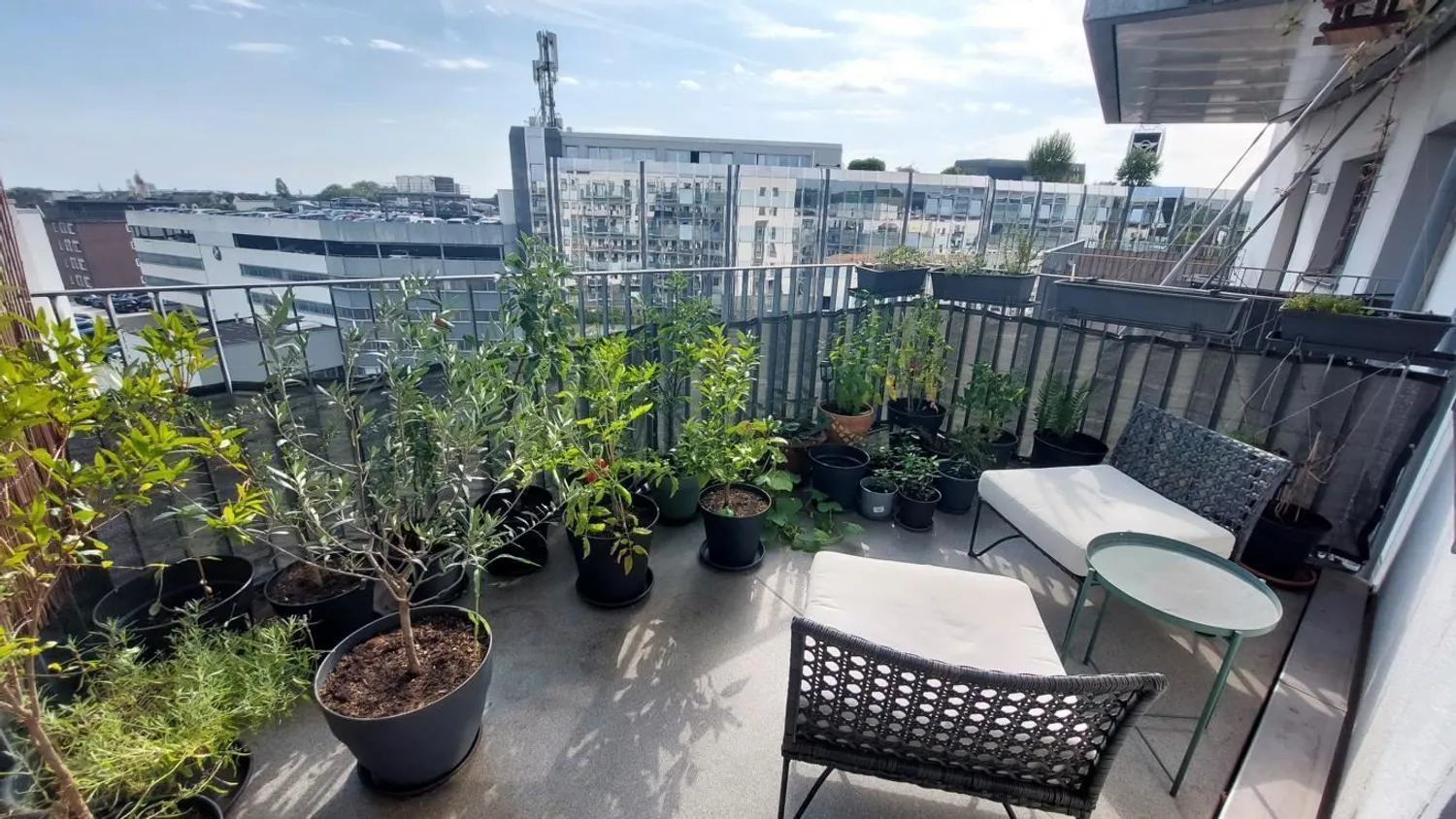 3 Zimmer Wohnung mit 96 m² in Düsseldorf – Bild 4