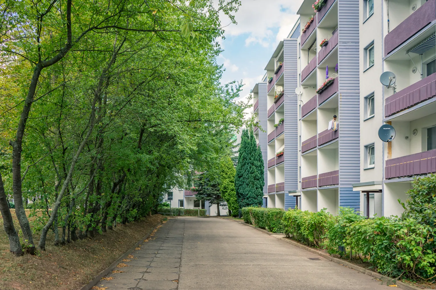 3 room apartment with 69 m² in Chemnitz – Photo 6