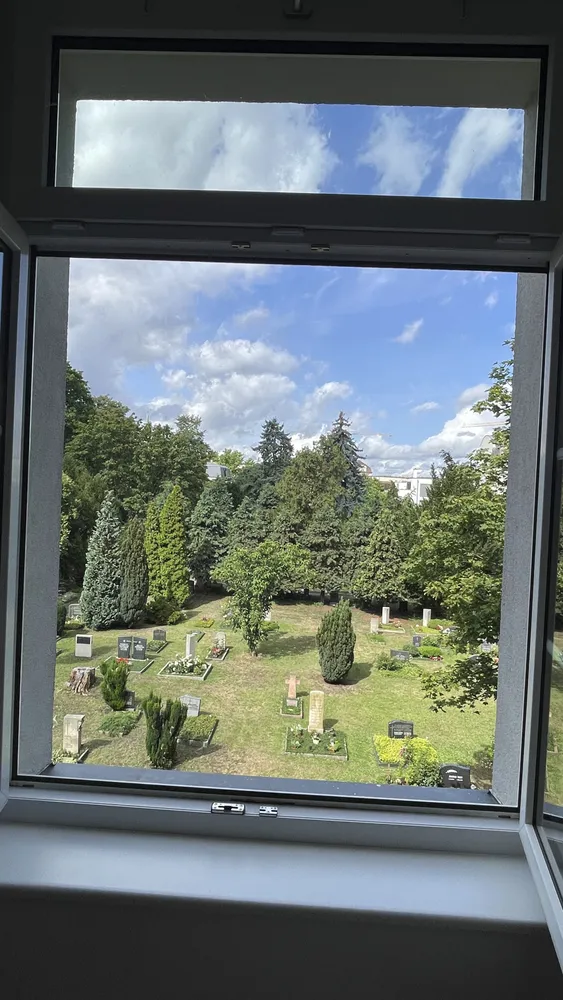 2 Zimmer Wohnung mit 168 m² in Dresden – Bild 6