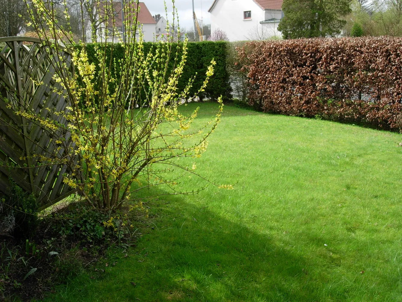 3 room apartment with 67 m² in Oldenburg – Photo 3