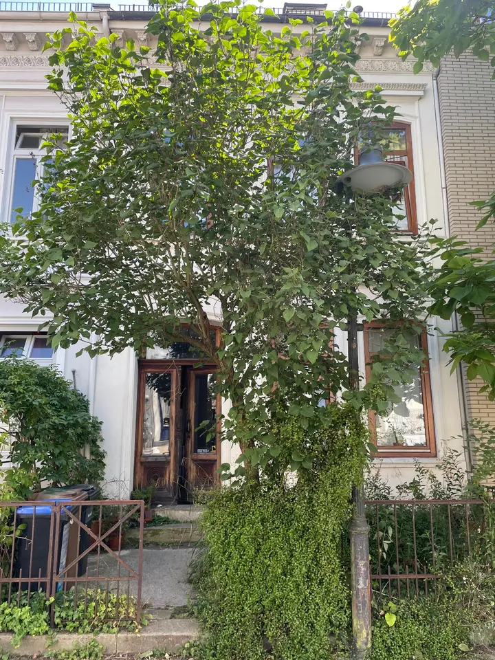 WG-Zimmer mit 16 m² in Bremen – Bild 4