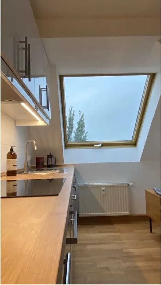 3 room apartment with 66 m² in Chemnitz – Photo 2