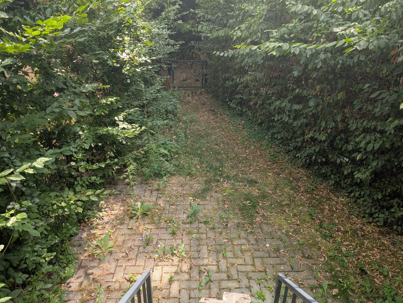 2 Zimmer Wohnung mit 65 m² in Köln – Bild 3