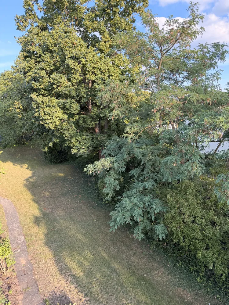 4 Zimmer Wohnung mit 92 m² in Mainz – Bild 7