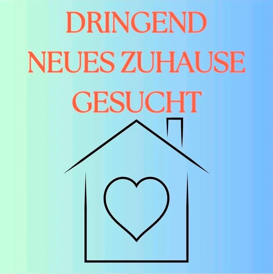 5 Zimmer Haus mit 110 m² in Leer – Bild 8