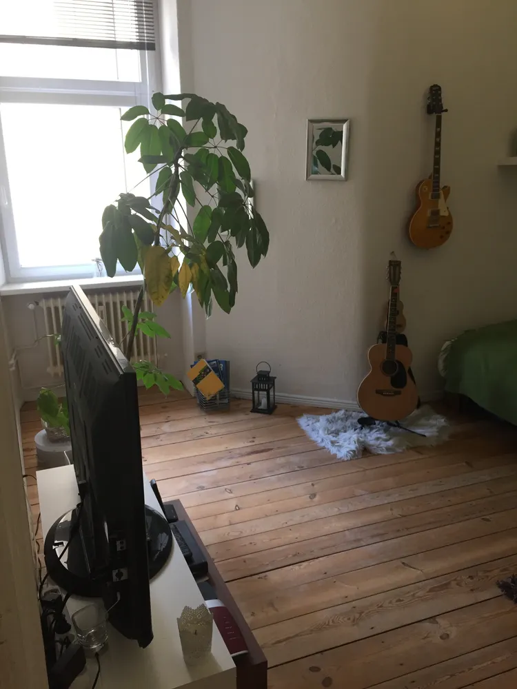 1 room apartment with 36 m² in Berlin – Photo 2