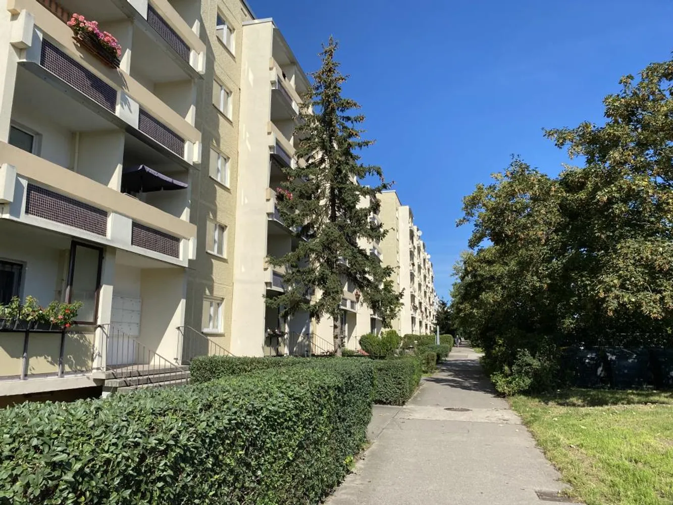 3 Zimmer Wohnung mit 56 m² in Halle (Saale) – Bild 2