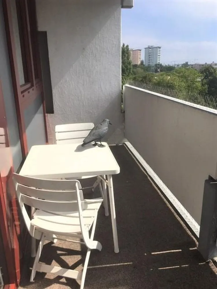 2 Zimmer Wohnung mit 67 m² in München – Bild 1
