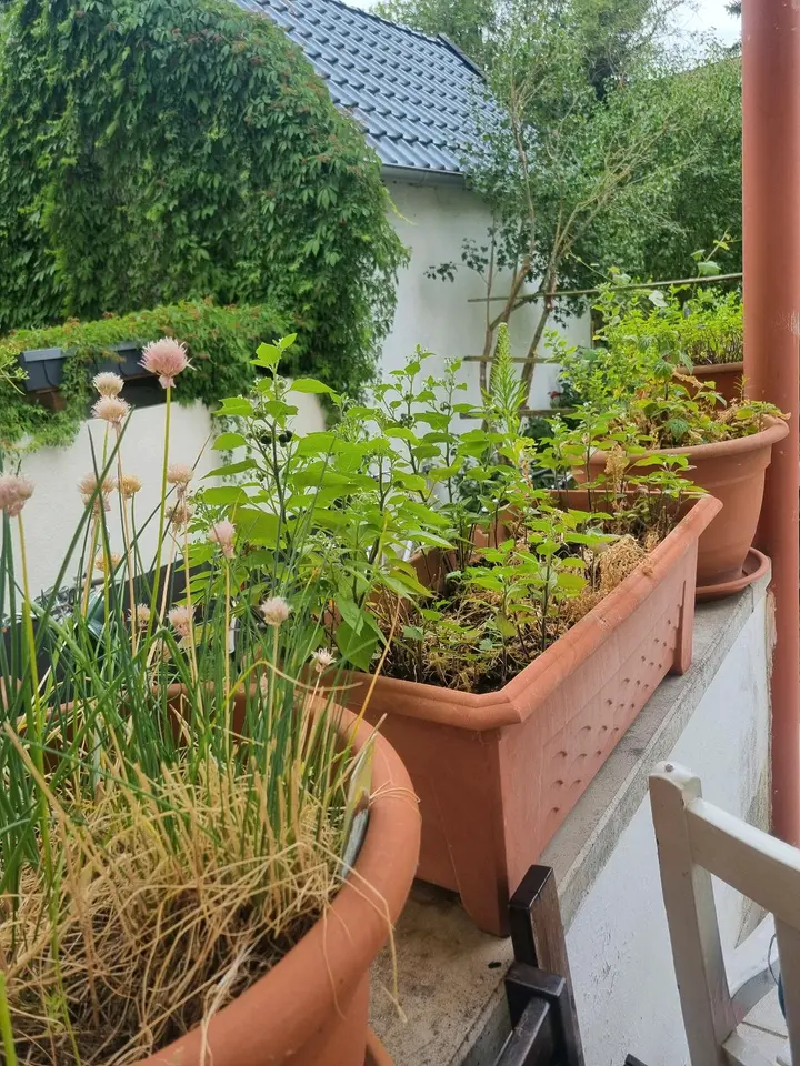 2 Zimmer Wohnung mit 65 m² in Osnabrück – Bild 7