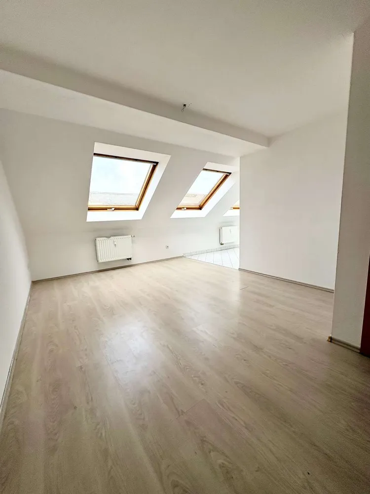 2 Zimmer Wohnung mit 36 m² in Chemnitz – Bild 4