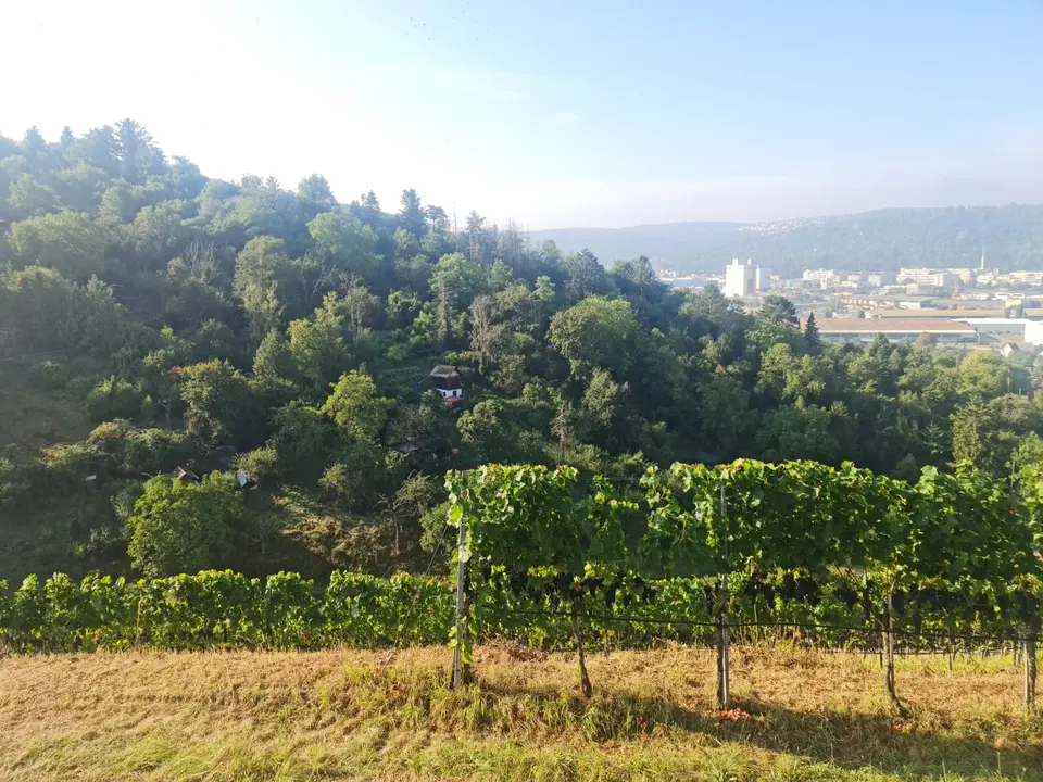 Shared room with 20 m² in Stuttgart – Photo 9