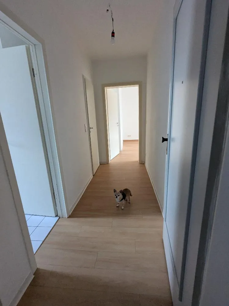 2 room apartment with 46 m² in Chemnitz – Photo 11