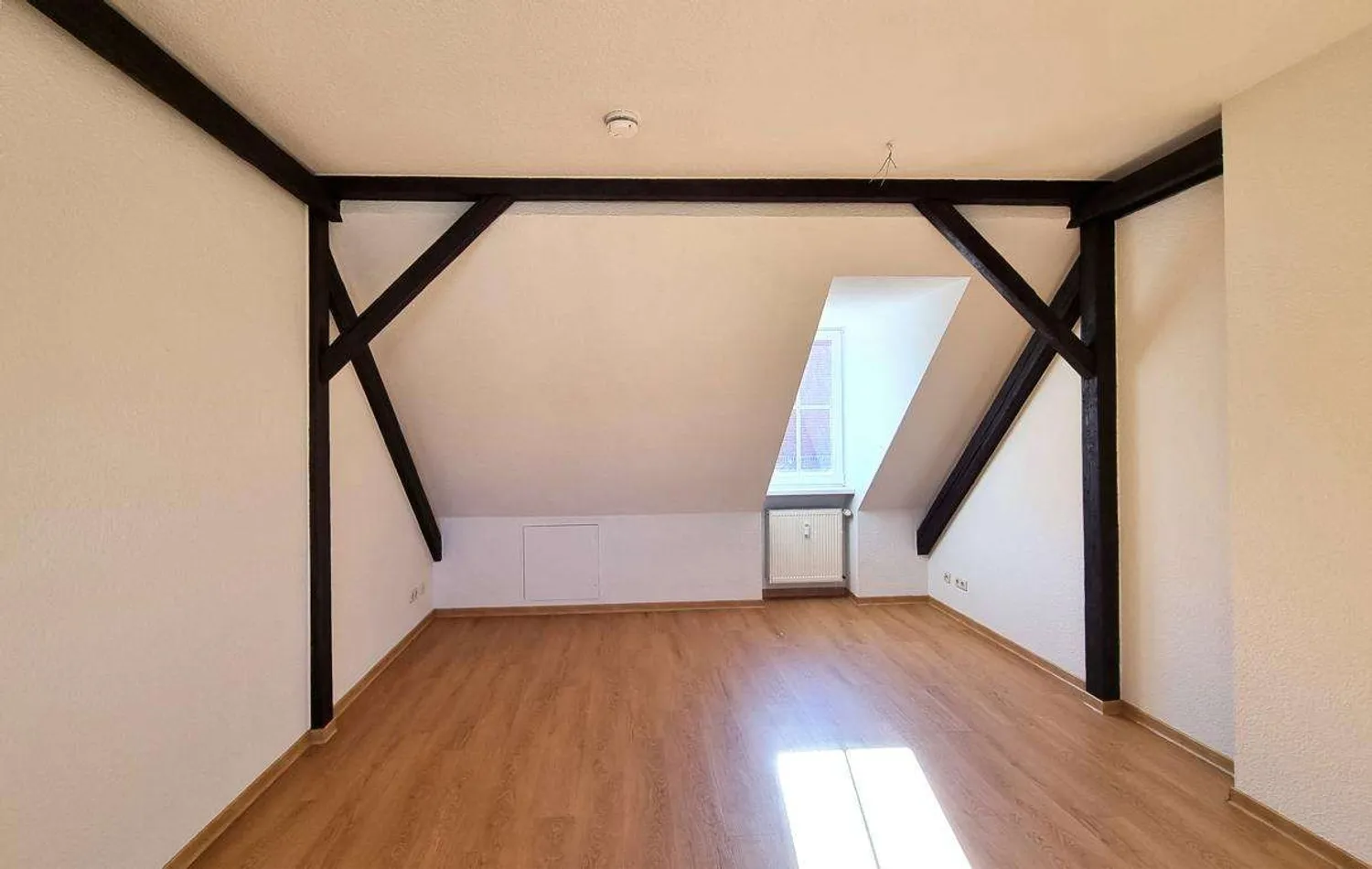 2 Zimmer Wohnung mit 38 m² in Dresden – Bild 2